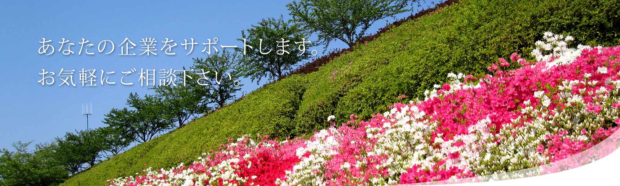 メインイメージ